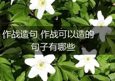 作战造句 作战可以造的句子有哪些