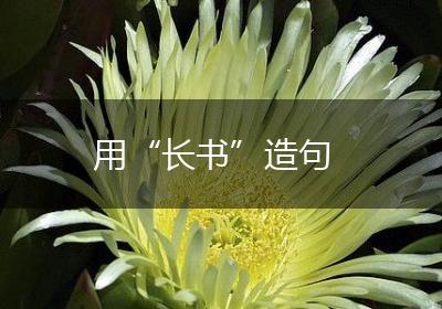 用“长书”造句