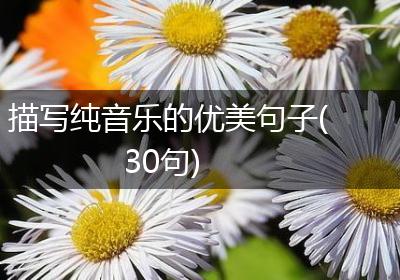 描写纯音乐的优美句子(30句)