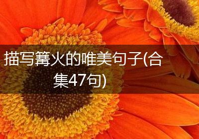 描写篝火的唯美句子(合集47句)
