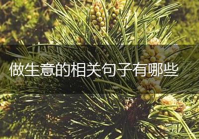 做生意的相关句子有哪些