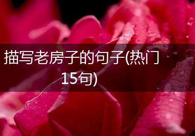 描写老房子的句子(热门15句)