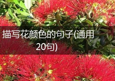 描写花颜色的句子(通用20句)