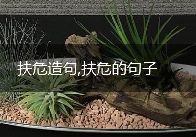 扶危造句,扶危的句子