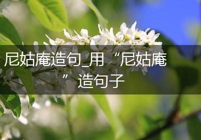 尼姑庵造句_用“尼姑庵”造句子