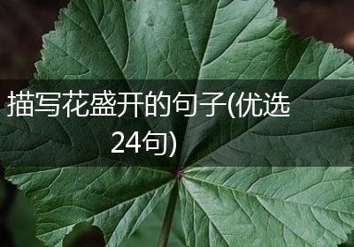 描写花盛开的句子(优选24句)