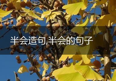 半会造句,半会的句子