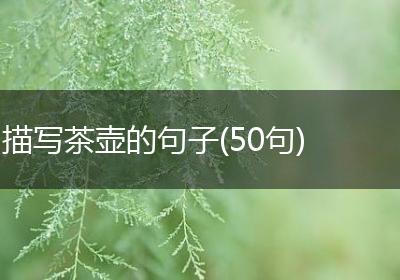 描写茶壶的句子(50句)