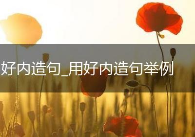 好内造句_用好内造句举例