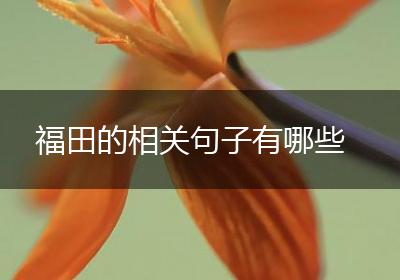 福田的相关句子有哪些