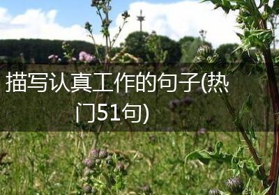 描写认真工作的句子(热门51句)