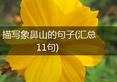 描写象鼻山的句子(汇总11句)