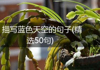 描写蓝色天空的句子(精选50句)