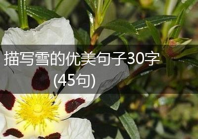 描写雪的优美句子30字(45句)