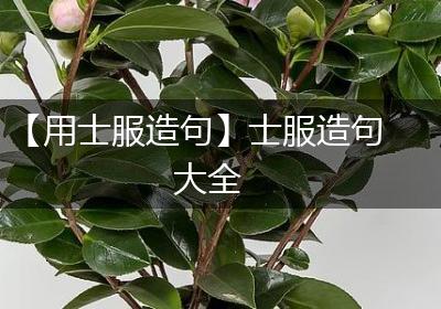 【用士服造句】士服造句大全
