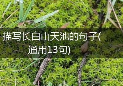 描写长白山天池的句子(通用13句)