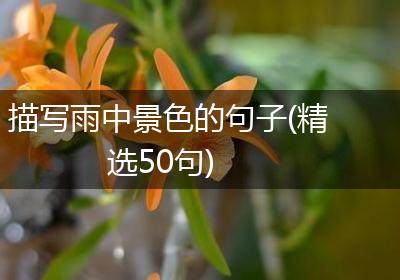 描写雨中景色的句子(精选50句)