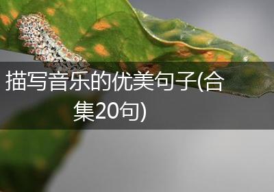 描写音乐的优美句子(合集20句)