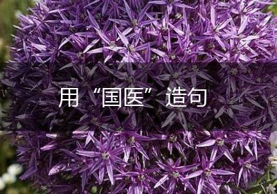 用“国医”造句