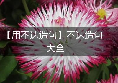 【用不达造句】不达造句大全