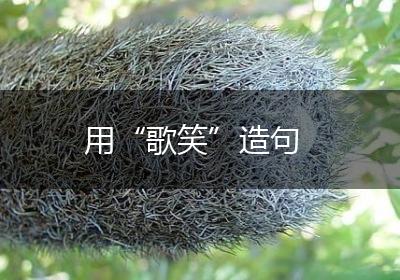 用“歌笑”造句