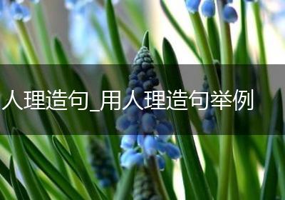 人理造句_用人理造句举例