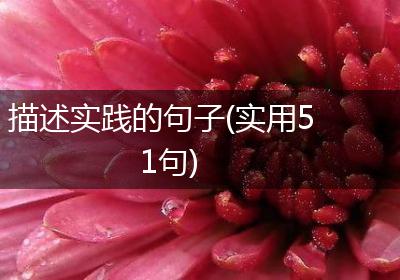 描述实践的句子(实用51句)