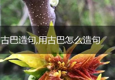 古巴造句,用古巴怎么造句