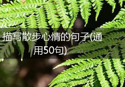 描写散步心情的句子(通用50句)