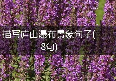 描写庐山瀑布景象句子(8句)