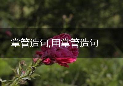 掌管造句,用掌管造句