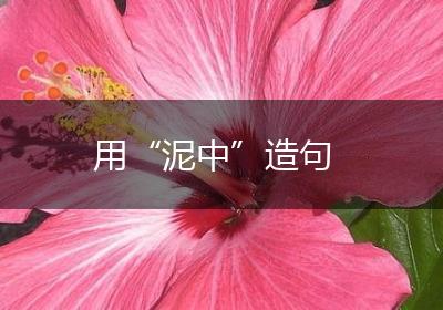用“泥中”造句