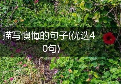 描写懊悔的句子(优选40句)
