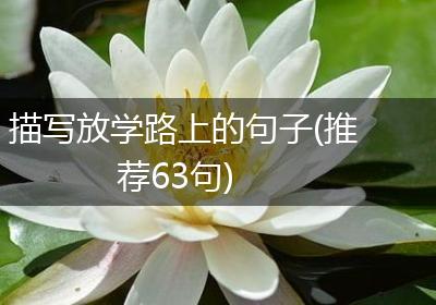 描写放学路上的句子(推荐63句)