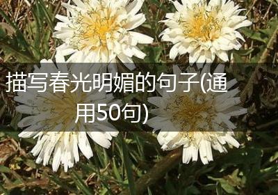 描写春光明媚的句子(通用50句)
