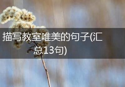 描写教室唯美的句子(汇总13句)