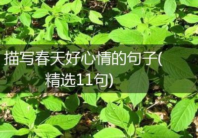 描写春天好心情的句子(精选11句)