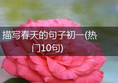 描写春天的句子初一(热门10句)