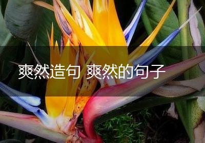 爽然造句 爽然的句子