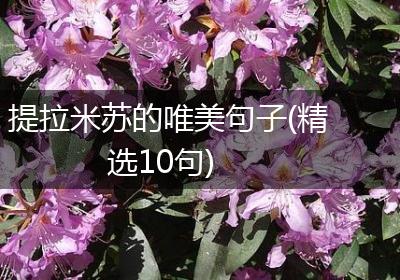 提拉米苏的唯美句子(精选10句)