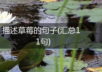 描述草莓的句子(汇总11句)