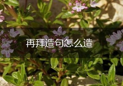 再拜造句怎么造