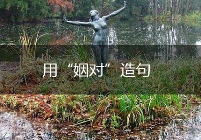用“姻对”造句