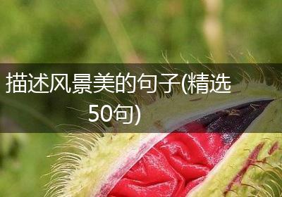 描述风景美的句子(精选50句)