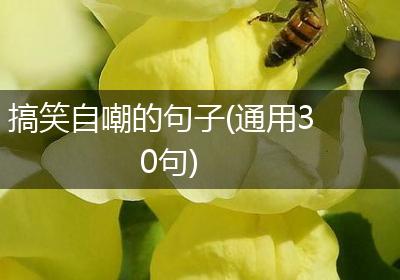 搞笑自嘲的句子(通用30句)