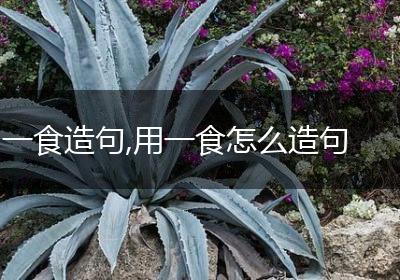 一食造句,用一食怎么造句