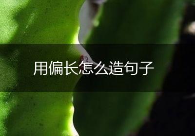 用偏长怎么造句子