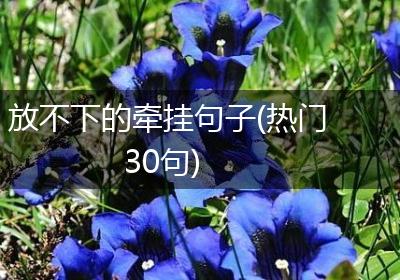 放不下的牵挂句子(热门30句)