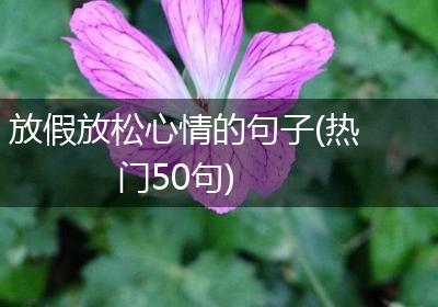 放假放松心情的句子(热门50句)
