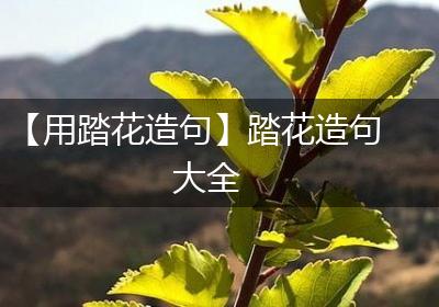 【用踏花造句】踏花造句大全